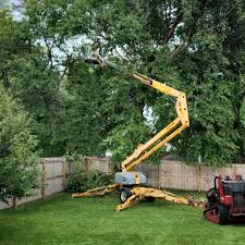 Best Commercial Tree Services  in Covington, WA